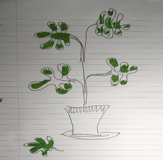 A drawing of a plant